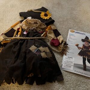 Pumpkin patch custom